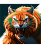 Bearcat Soccer Club